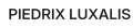 logo-company