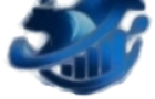 BlitzPine Group