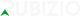 Rubizio logo