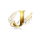 Jelvruvozan logo