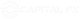 Capital FX logo