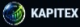 Kapitex logo