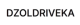 Dzoldriveka logo