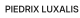 Piedrix Luxalis logo